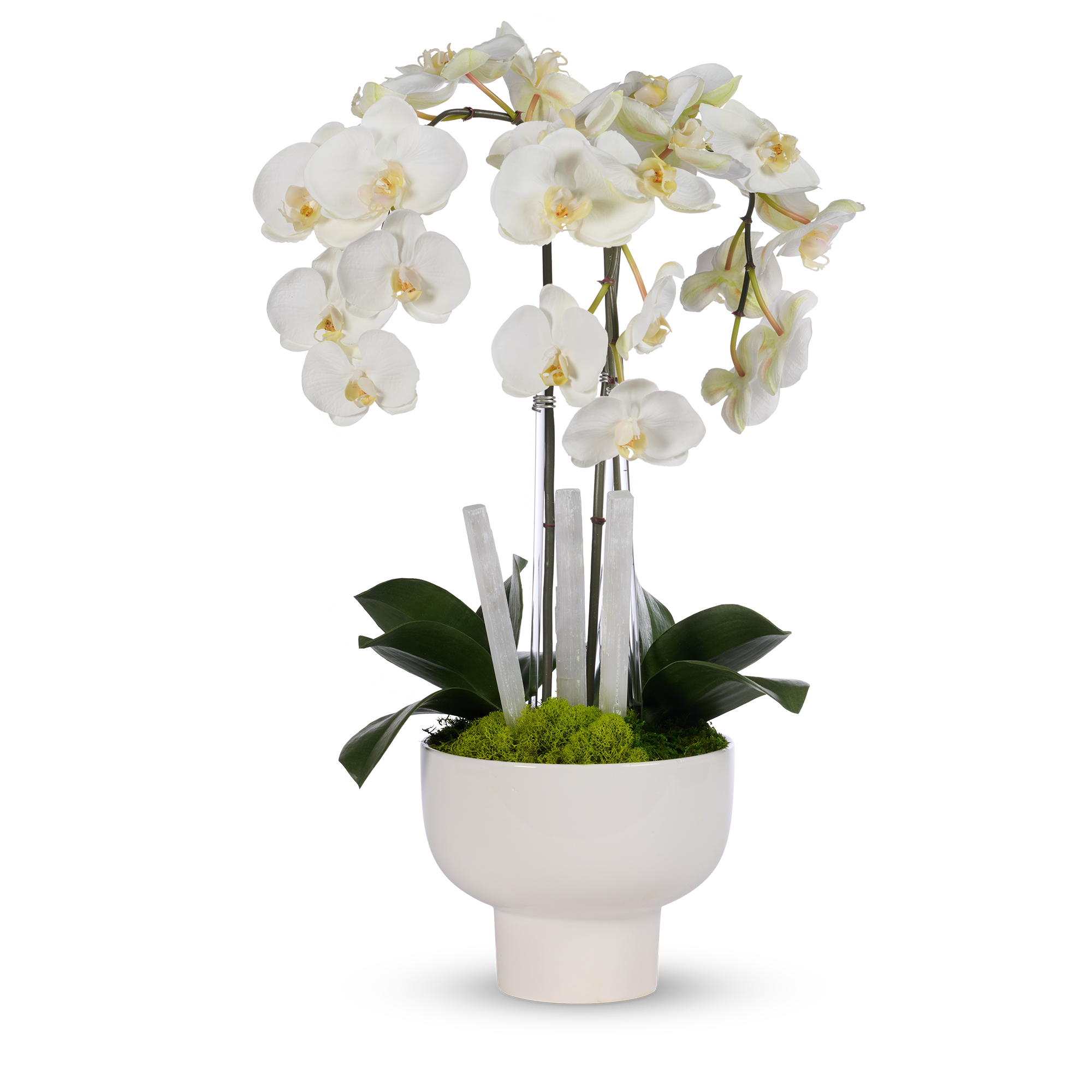 planting orchids in ceramic pots Triple Orchid with Selenite in White Ceramic Pot