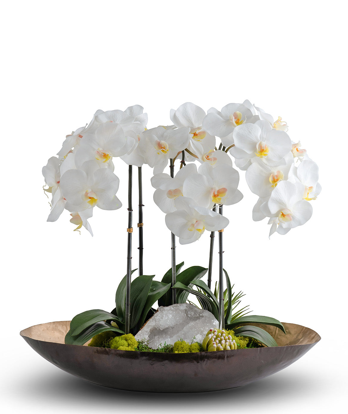 Nearly Natural Phalaenopsis Orchid and Mixed Succulent Garden Artificial Arrangement in Black Nearly Natural Phalaenopsis Orchid and Mixed Succulent Garden Artificial Arrangement in Black