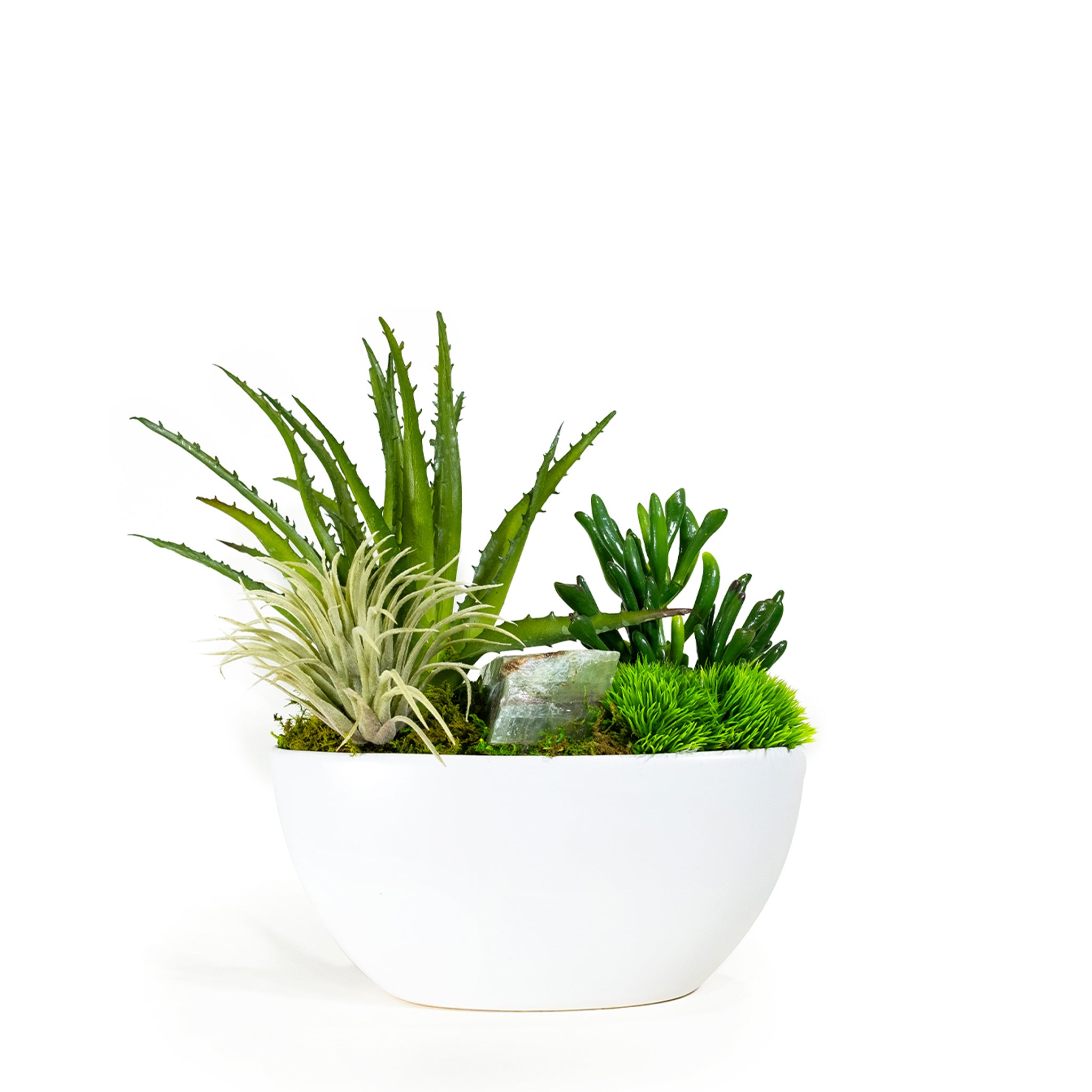 desktop succulent garden Desktop Succulent Garden with Stone