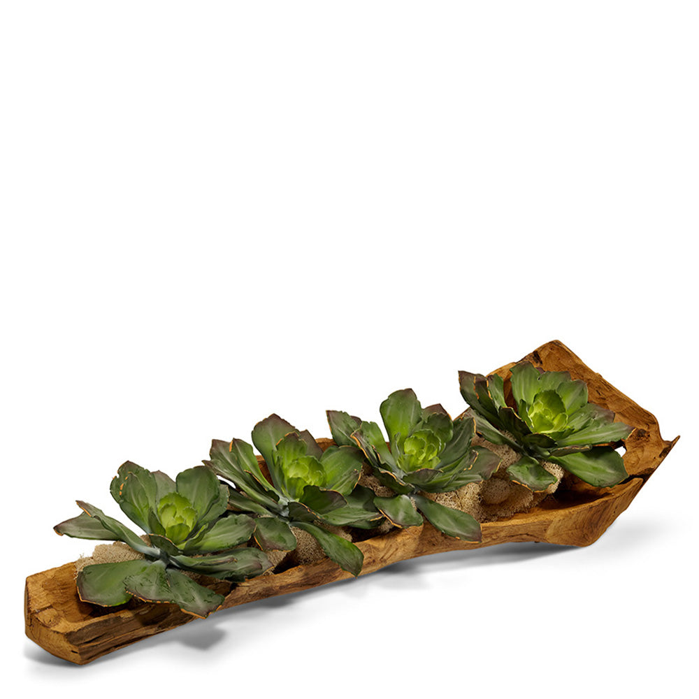 wood log succulent planter Echeveria in Hand Wood Carved Log T&C Floral Company