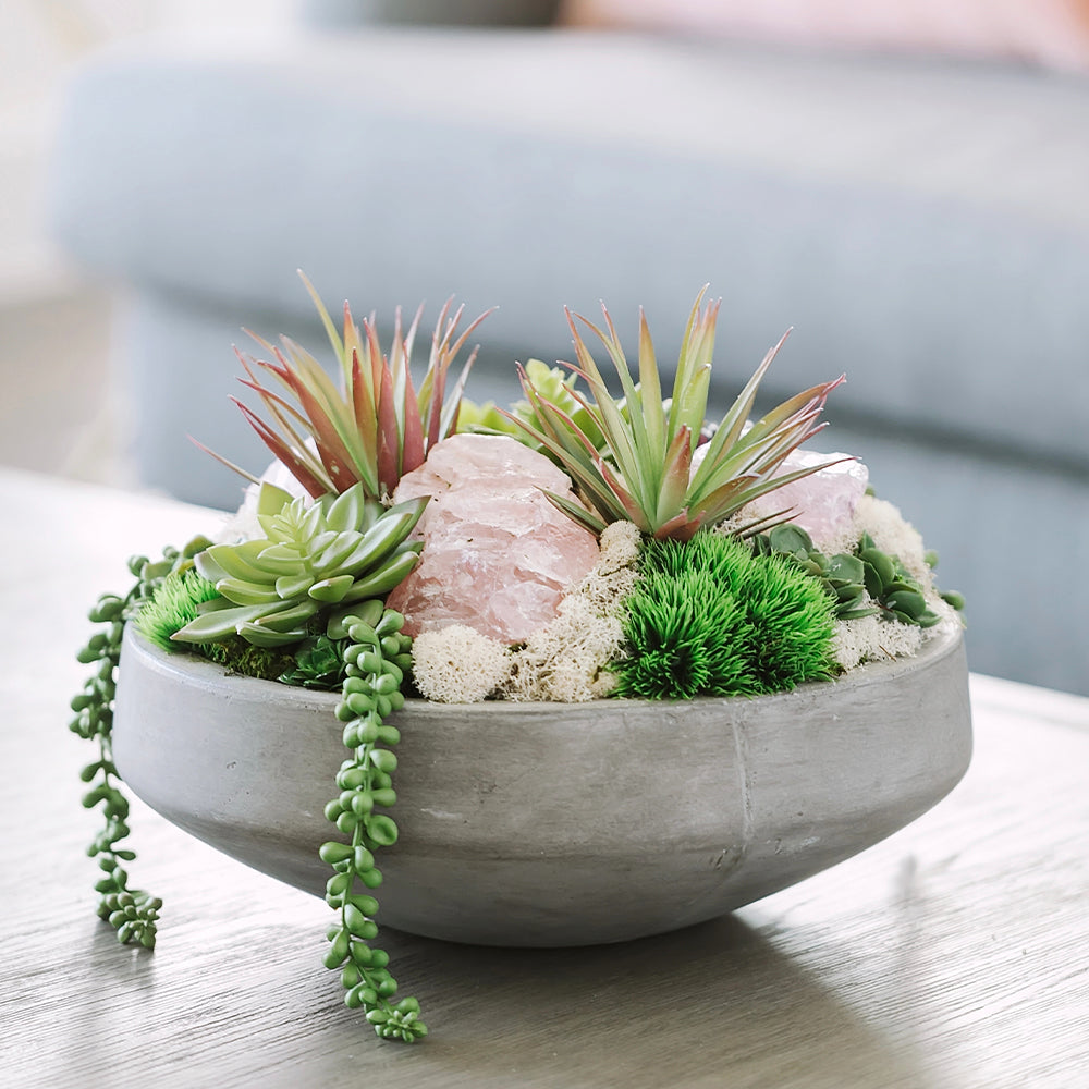 Succulents, Grass, Cacti – T&C Floral Company