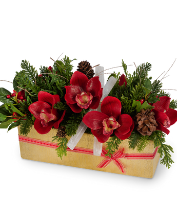 Holiday Orchids in Gold Rectangle Container