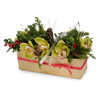 Holiday Orchids in Gold Rectangle Container