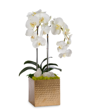 Double Orchids in Gold Hammered Metal Square Container with Quartz
