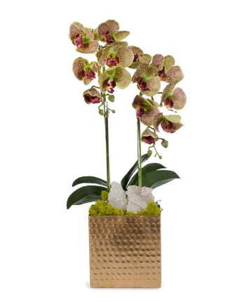 Double Orchids in Gold Hammered Metal Square Container with Quartz