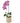 Single Orchid in White and Gold Container