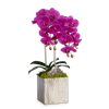 Double Orchids in Silver Hammered Metal Square Container with Quartz
