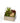 Succulents in Silver Square Container