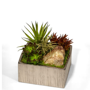 Succulents in Silver Square Container