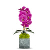 Single Orchid in Faux Marble Container