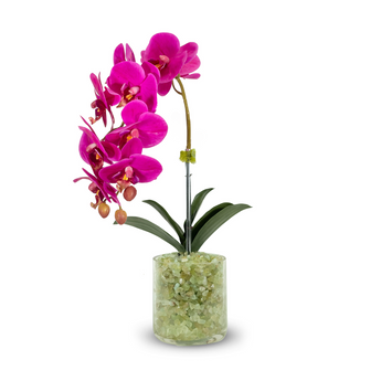 Build Your Own Orchid