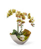 Orchids in Mixed Metal Scoop