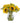 Sunflowers in Clear Glass Vase