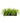 Tree Grass in Large Rectangle Box