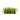 Tree Grass in Large Rectangle Box