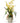 Yellow Dancing Orchids