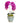 Double Orchid in Blue Finned Pot