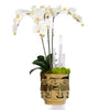 Orchids & Selenite in Ceramic Face Vase