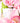 Rose Garden in Large Wood Log