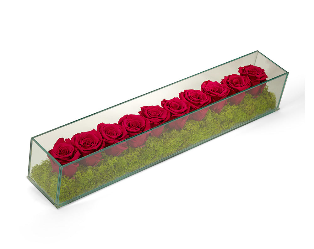 Glass Container With Roses Preserved Roses in Rectangle Glass – T&C Floral Company