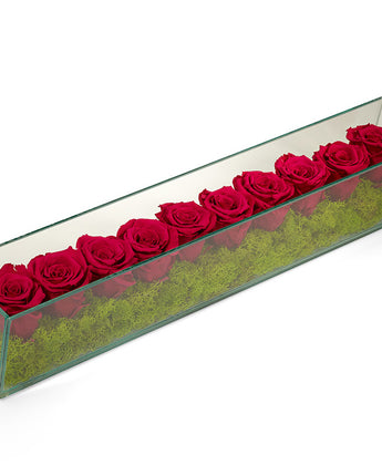 Preserved Roses in Rectangle Glass