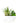 Desktop Succulent Garden with Stone