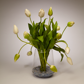 Tulips in Clear Glass Vase - WH/GR