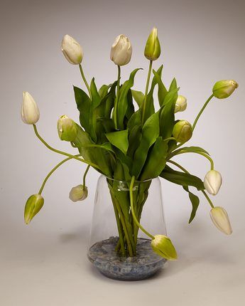Tulips in Clear Glass Vase - WH/GR
