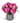 Peonies In Silver Vase