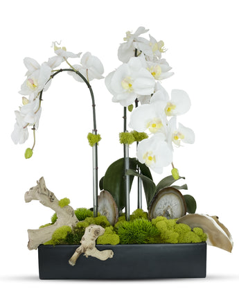 Orchids in Rectangle Ceramic Container