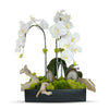 Orchids in Rectangle Ceramic Container
