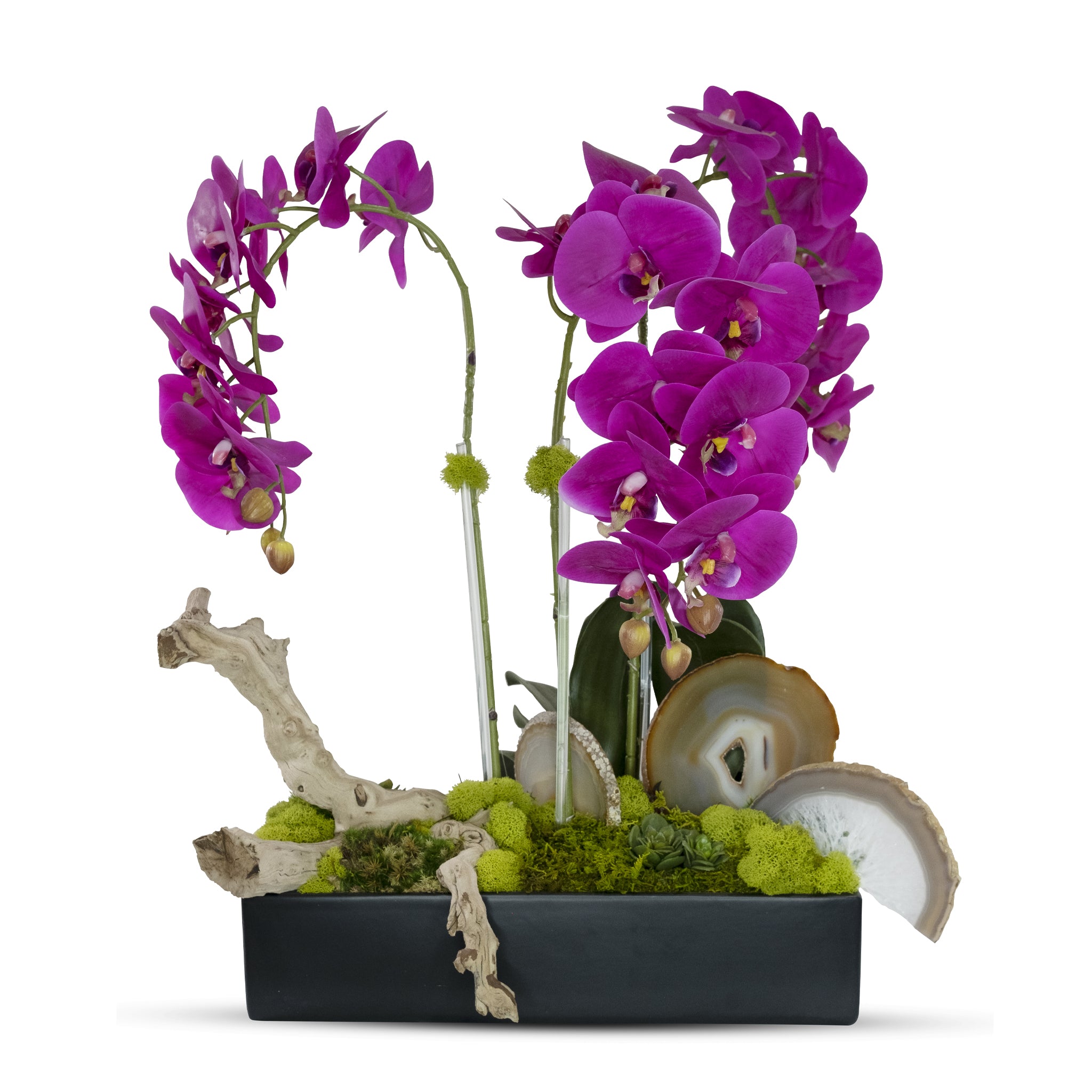 Orchids in Rectangle Ceramic Container – T&C Floral Company