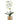 Build Your Own Orchid