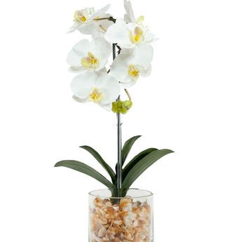 Build Your Own Orchid