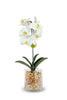 Build Your Own Orchid