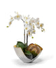 Orchids in Mixed Metal Scoop