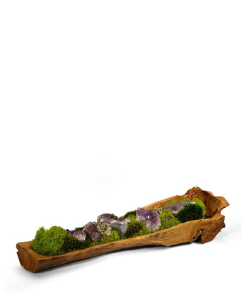 Preserved Moss & Geodes in Wooden Log