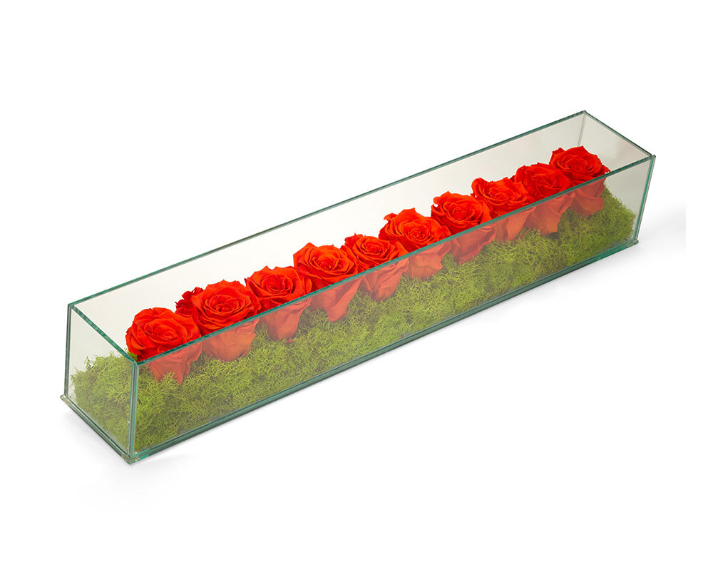 Glass Container With Roses Preserved Roses in Rectangle Glass – T&C Floral Company