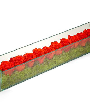 Preserved Roses in Rectangle Glass