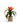 Bromeliad in Clear Glass Jar