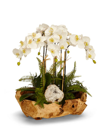 Orchids in Wood Bowl