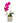 Single Orchid in White Faux Marble Container