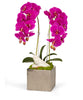 Double Orchid in Silver Square