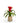 Bromeliad in Clear Glass Jar