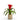 Bromeliad in Clear Glass Jar