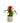 Bromeliad in White Wavy Pot