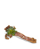 Baby Wooden Log with Succulents & Stones