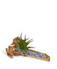 Baby Wooden Log with Succulents & Stones
