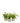 Fern 3 Pack in White & Gold Container